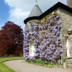 Brobury house Tasmania