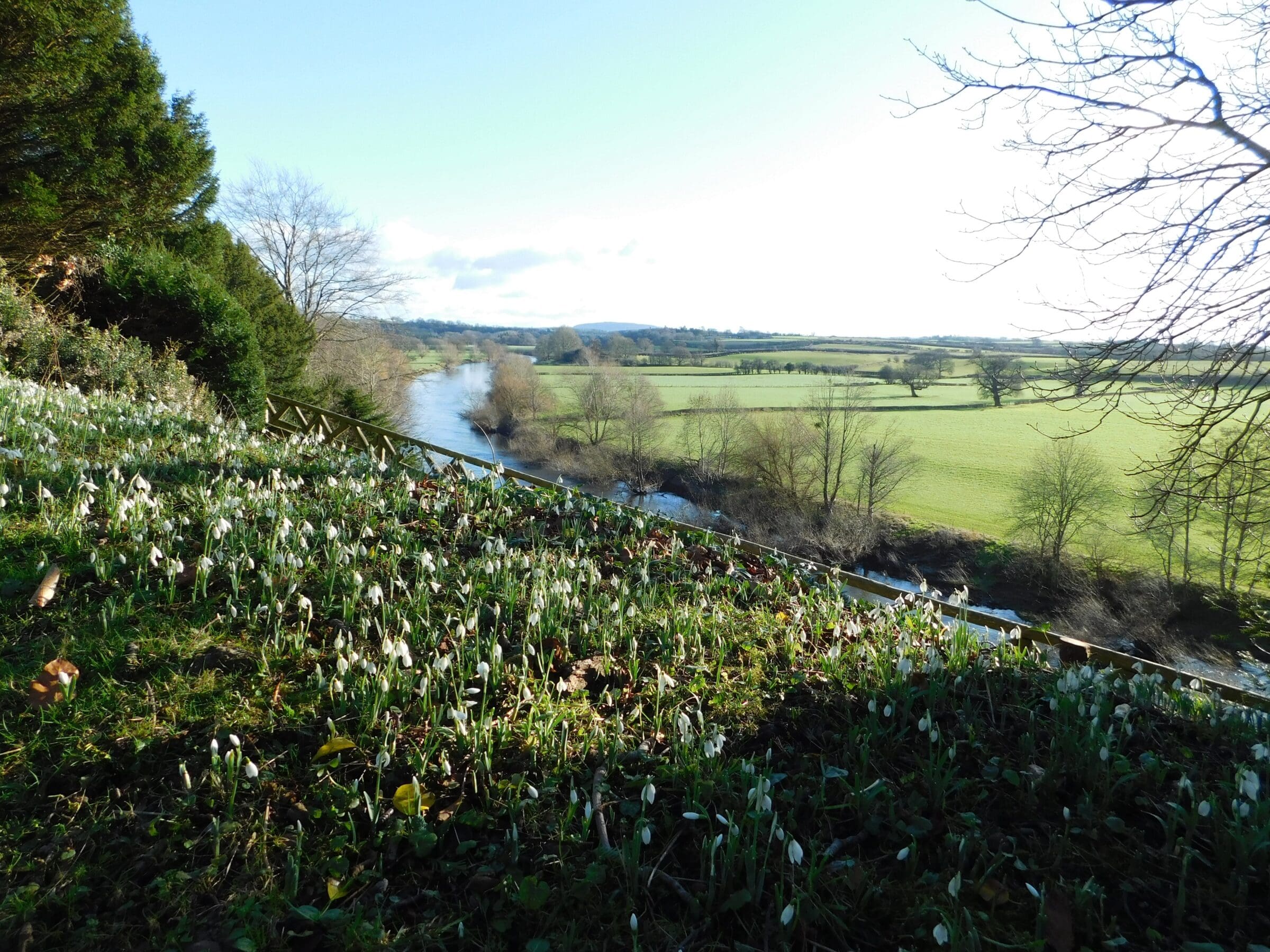 Weir Garden