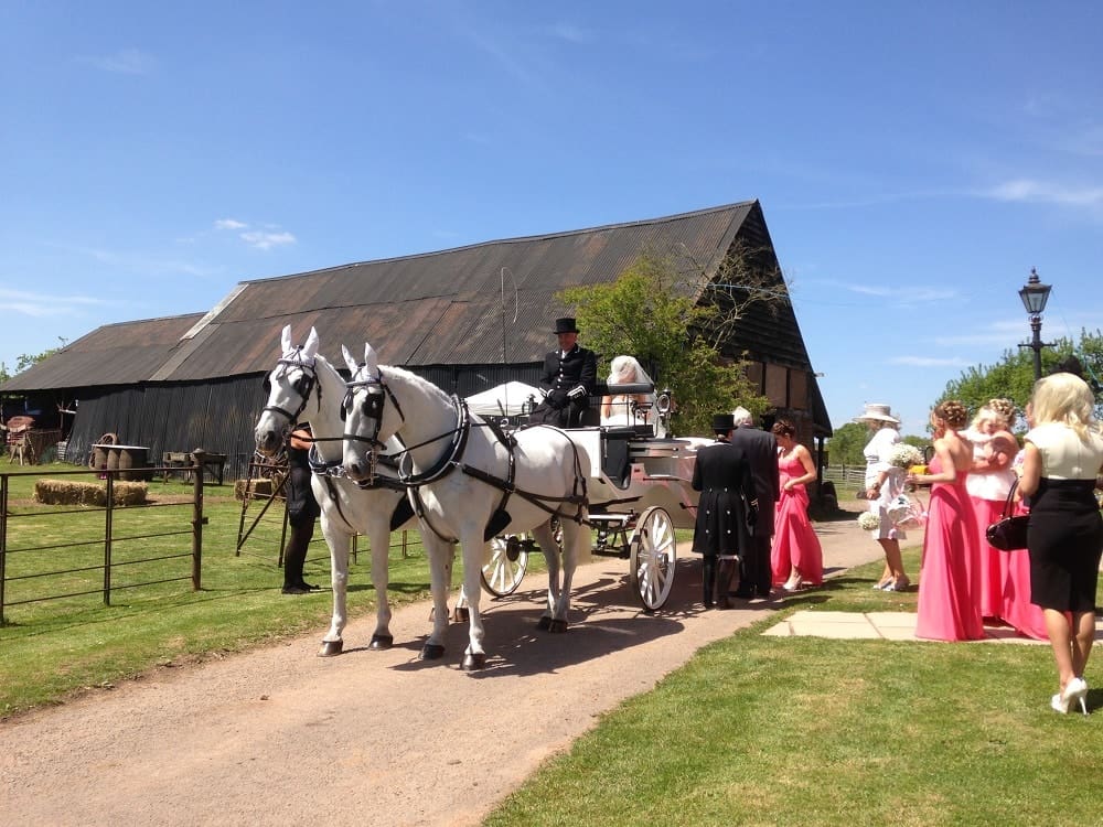 Horse & Carriage with Bridesmaids at a wedding at Huntlands Farm