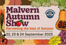 AUT SHOW 2023 Featured Event