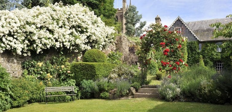 Hereford Cathedral Spring Garden
