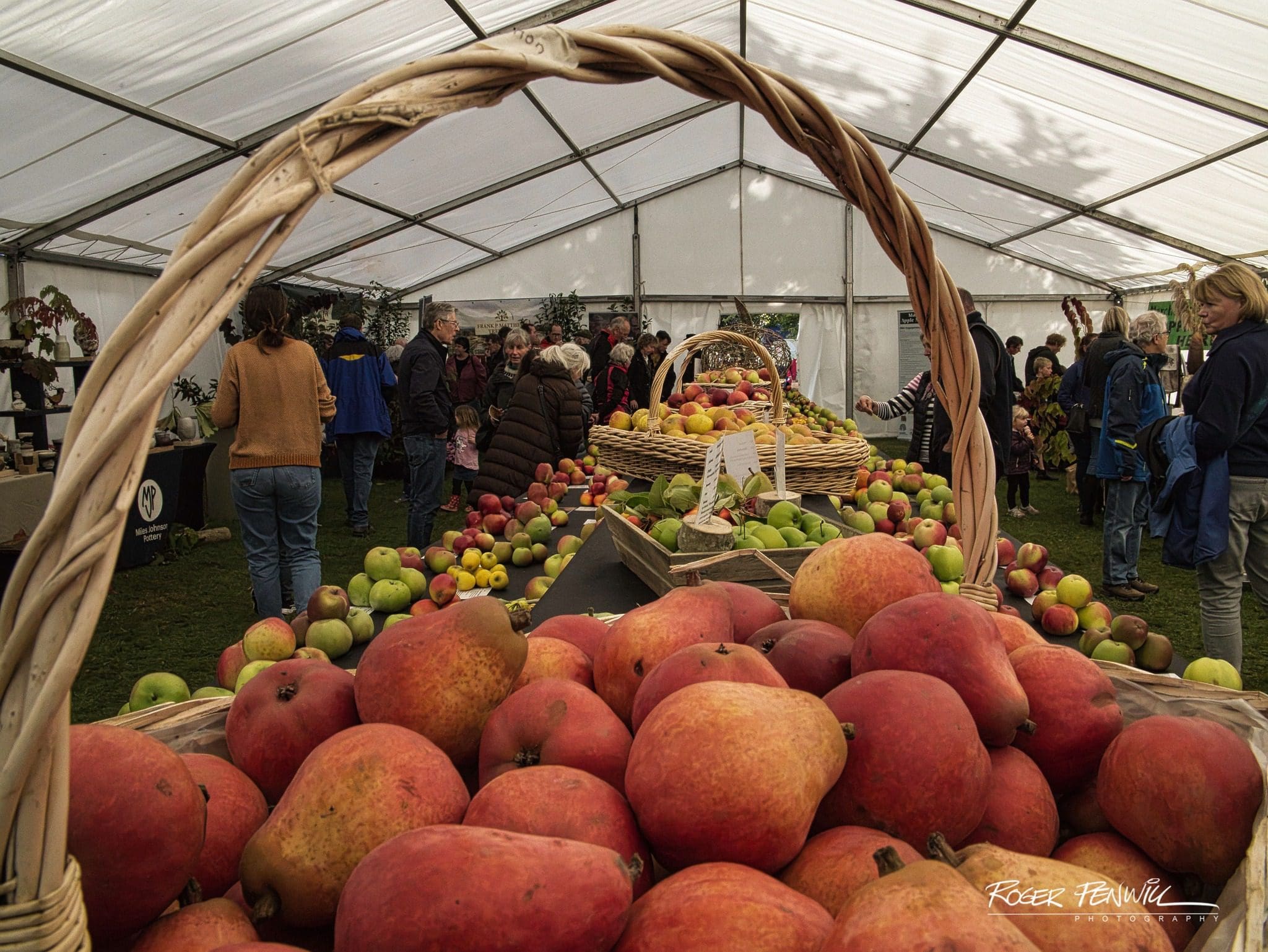 tenbury applefest