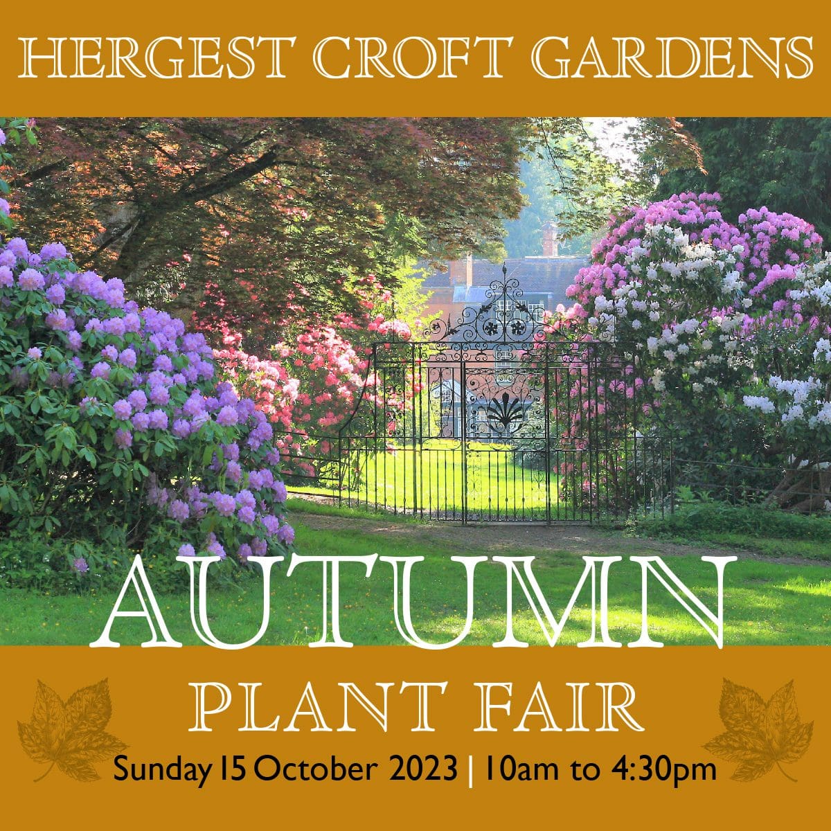 HC 2023 PLANT FAIR SOCIALS AUTUMN