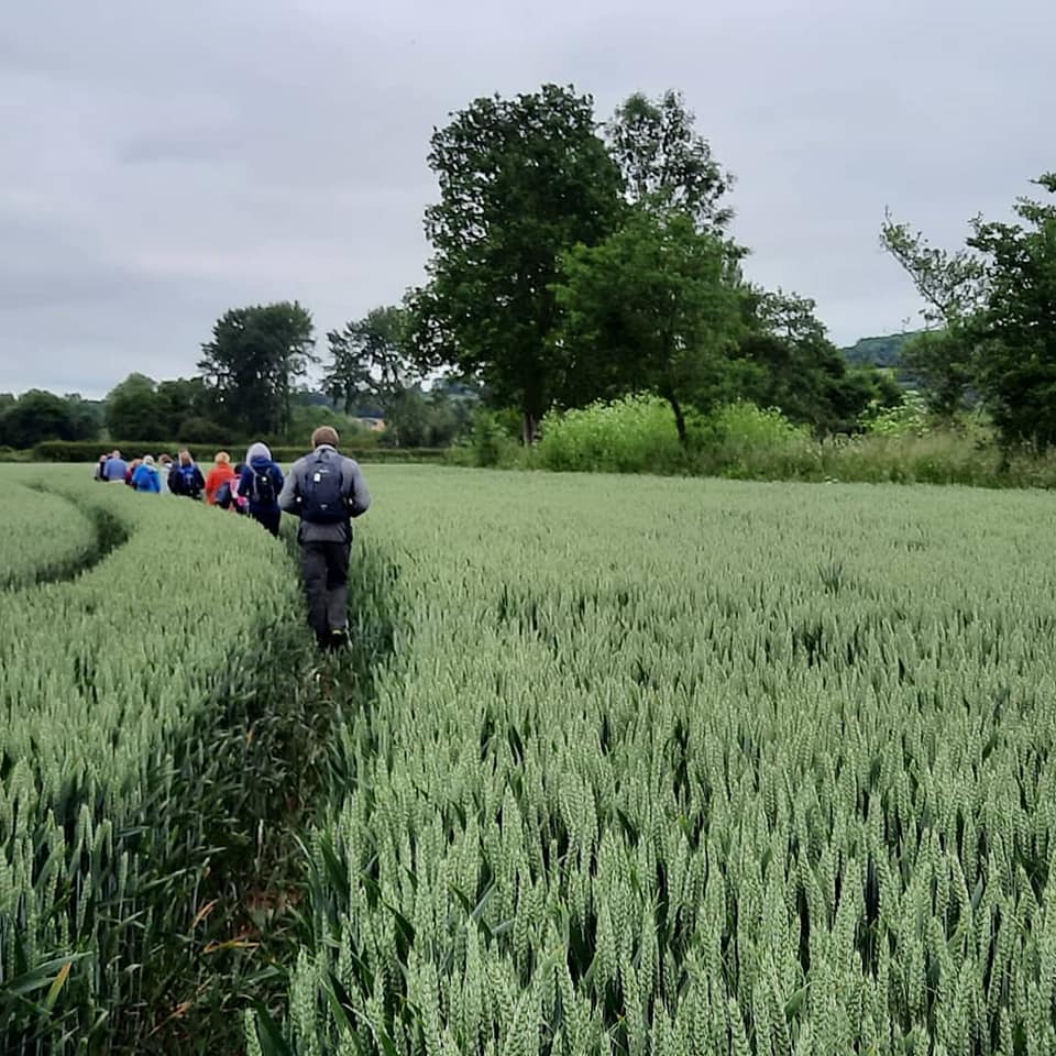 Herefordshire Walking Festival 2
