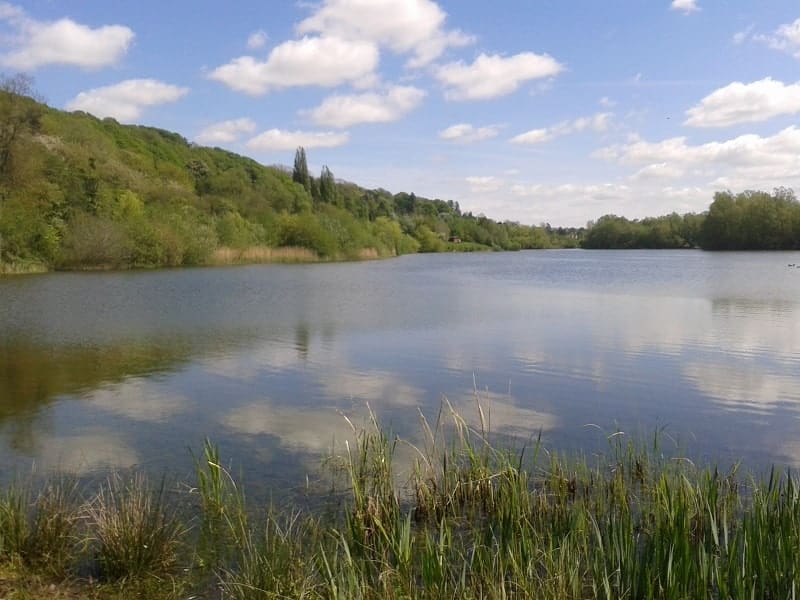 Bodenham Lake, Herefordshire