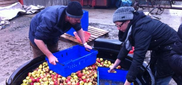 Cider making course Herefordshire Wildlife Trust