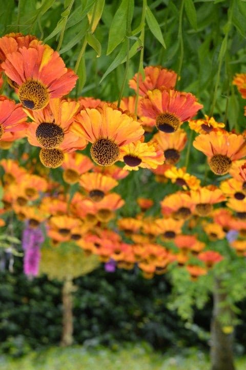 Floral Demonstration with Yolanda Campbell