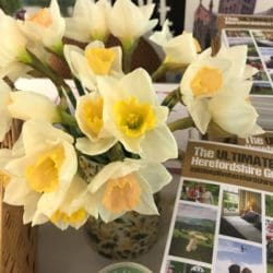 Hereford Means Business Expo