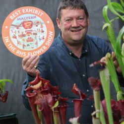 MALVERN AUTUMN SHOW 2017