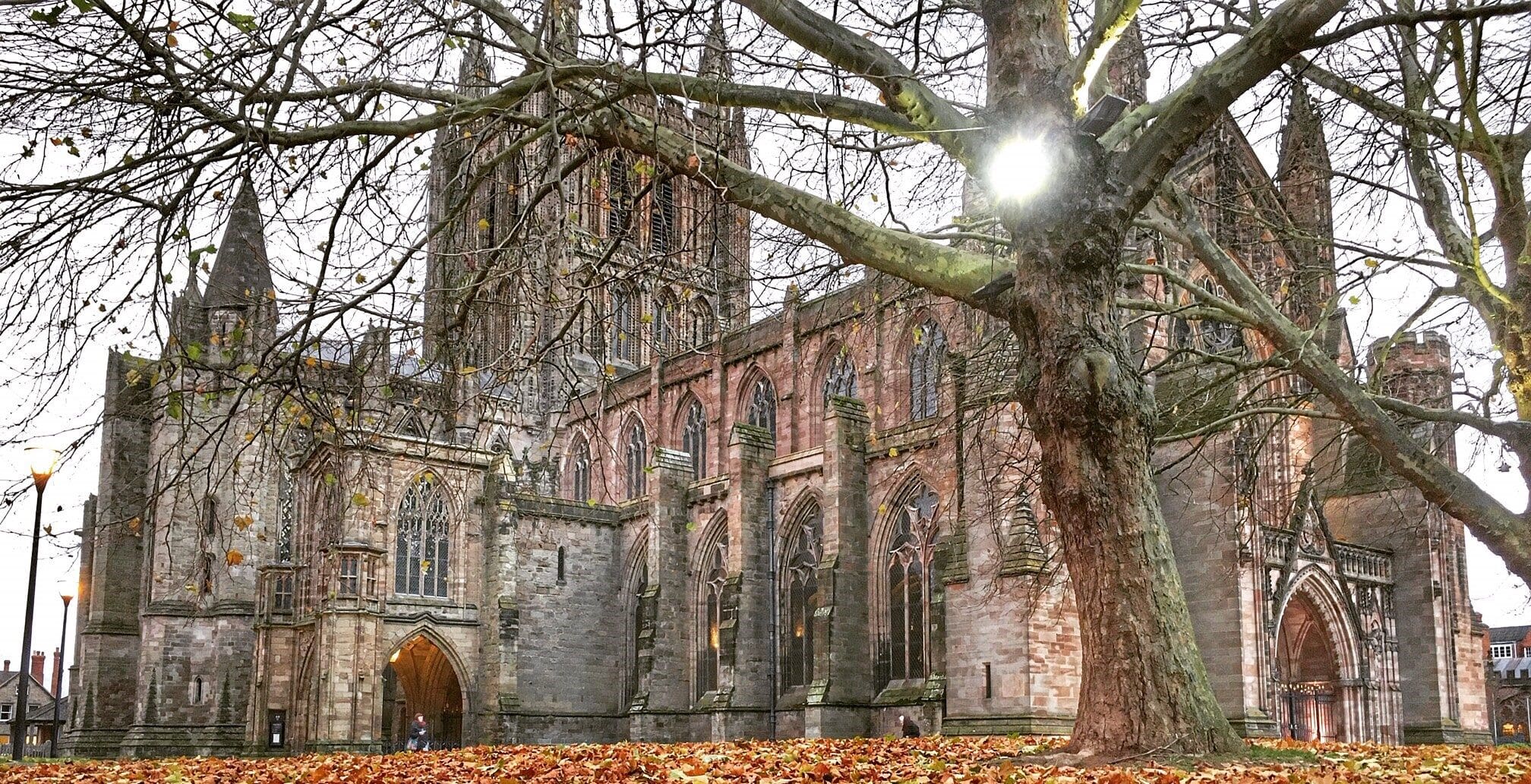 CATHEDRAL & LEAVES
