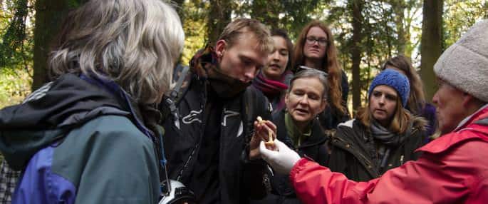 UK Fungus Day at Queenswood