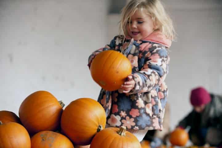 Create lasting memories this October half-term with the National Trust in Herefordshire