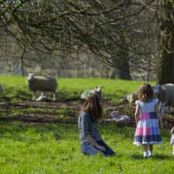 Join a Cadbury Easter Egg Hunt with the National Trust in Herefordshire