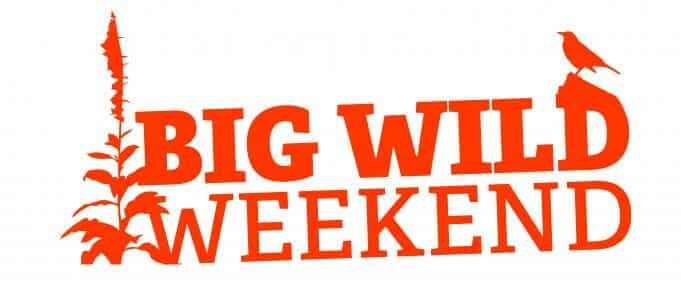 The Big Wild Weekend