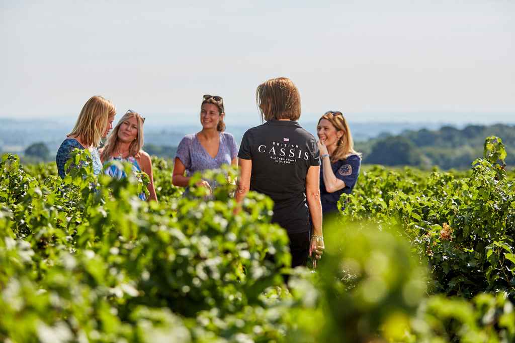British Cassis Tours