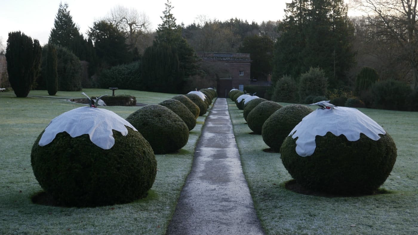 King George's Plum Pudding trail