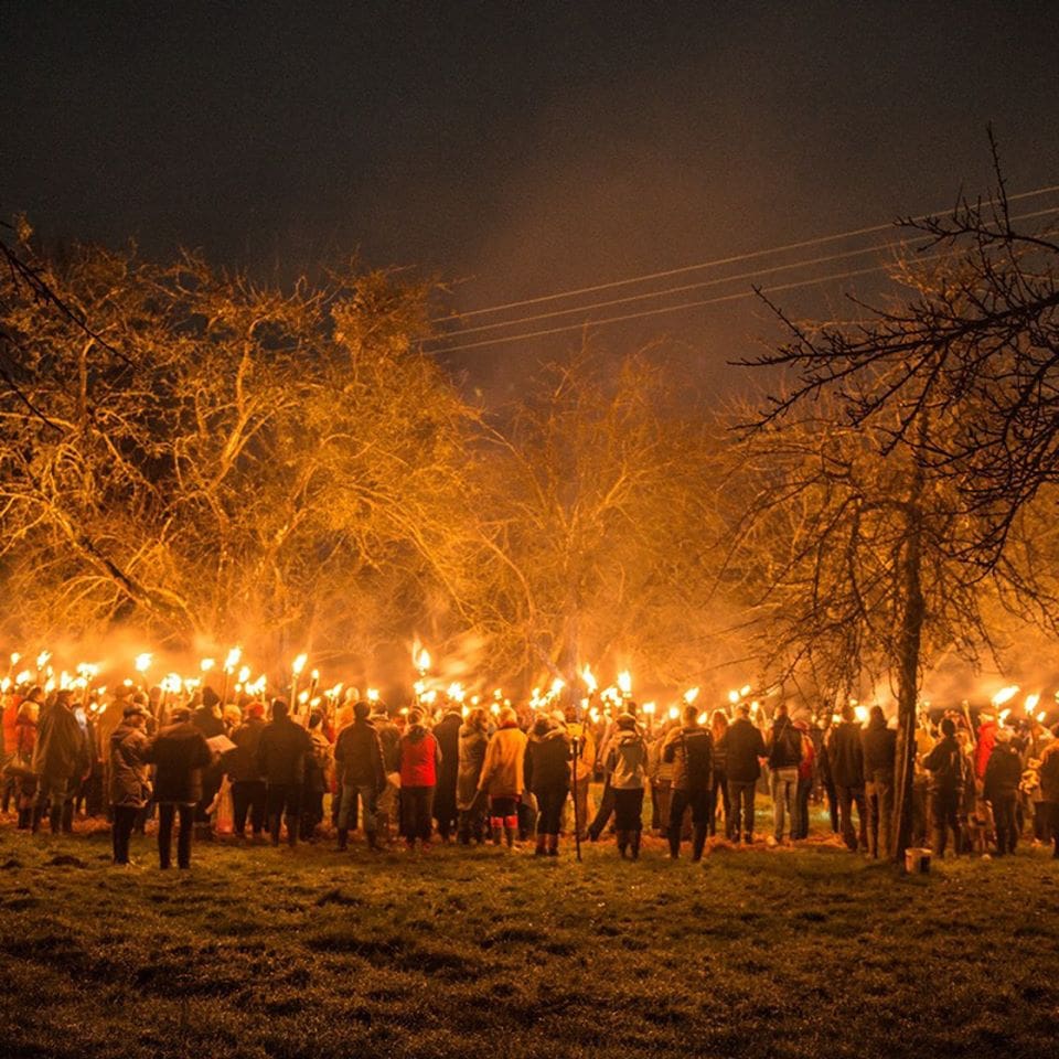 Westons Cider Wassail