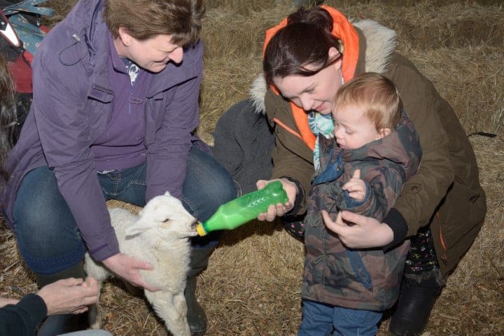 Newbridge Farm Park