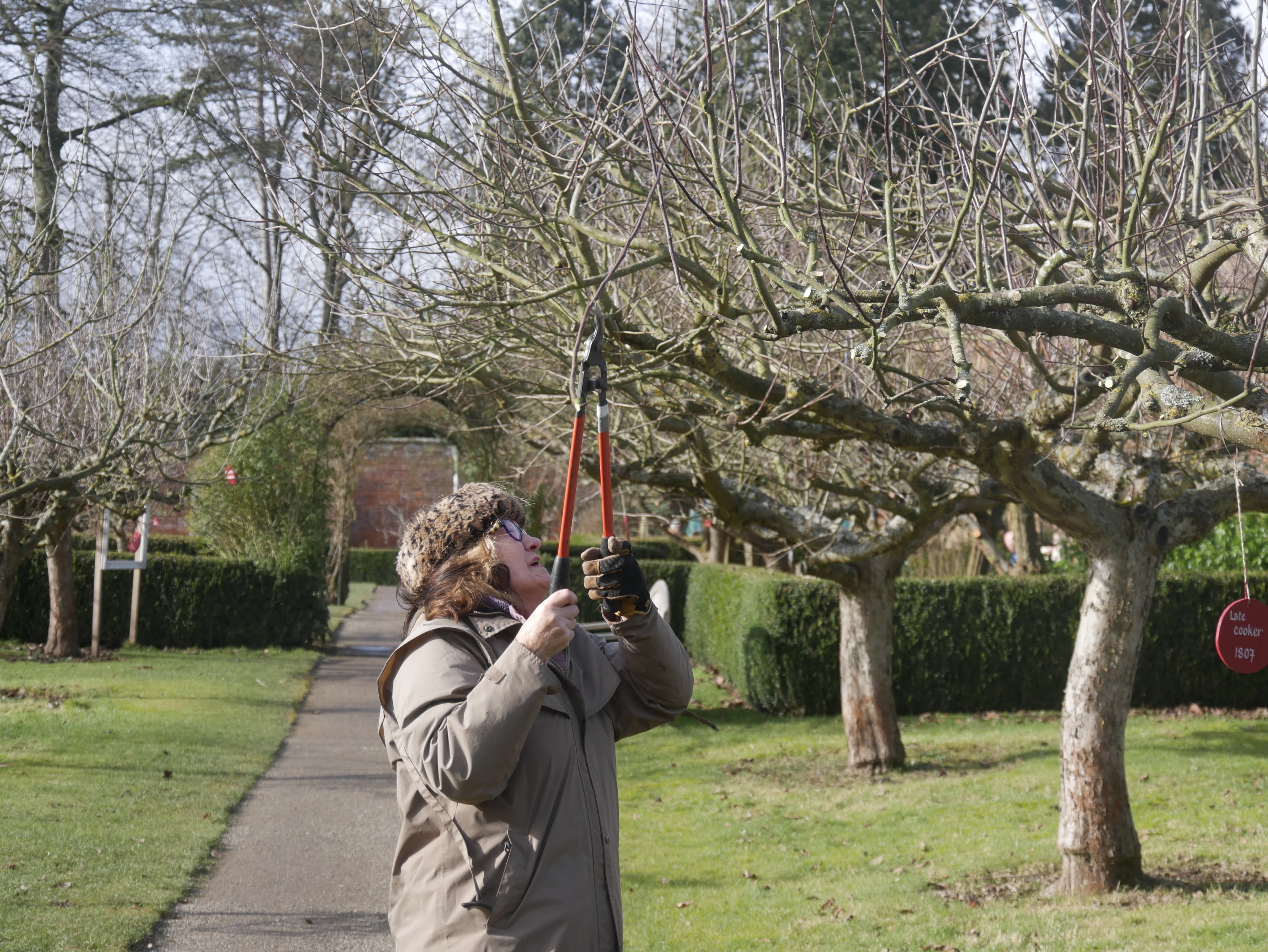 Spring Pruning Workshop at Berrington