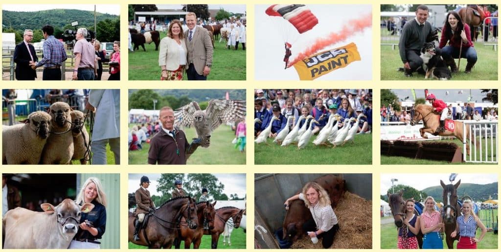 Three Counties Show events