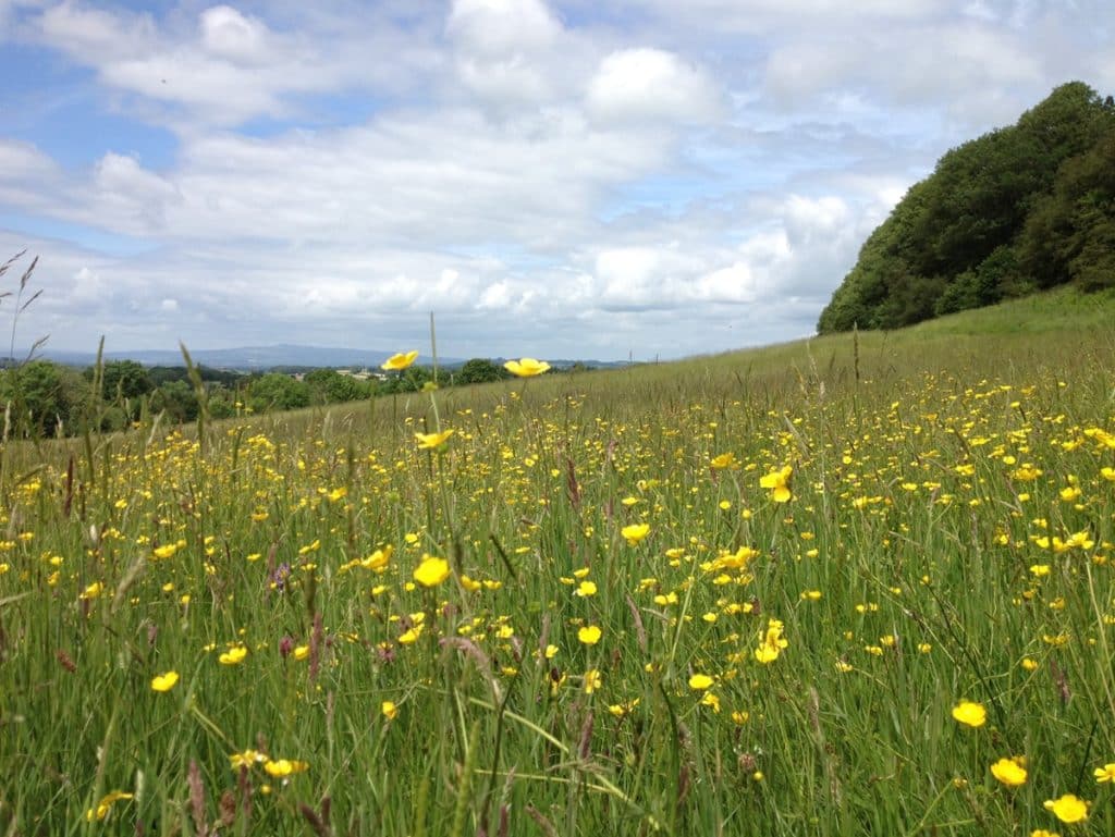 Discover Bromyard