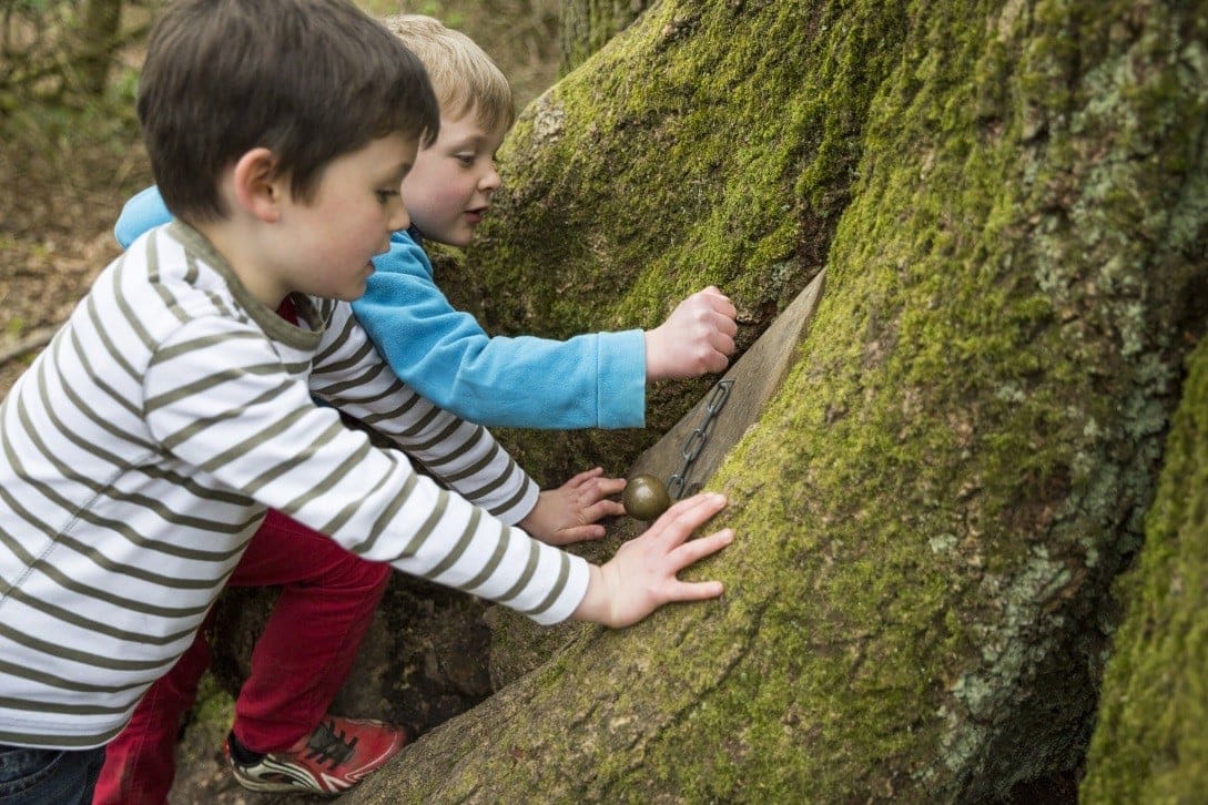 Orchard Elves trail