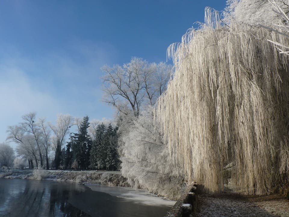 Winter Wonderland Trail Weir Garden