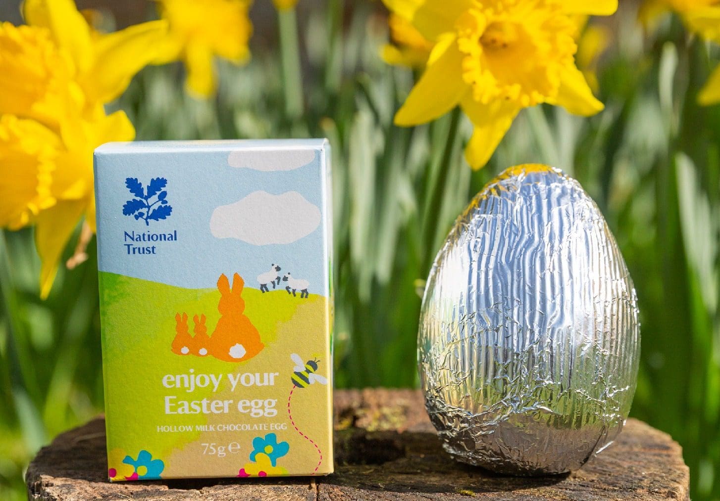 Easter egg packaging for Spring 2022