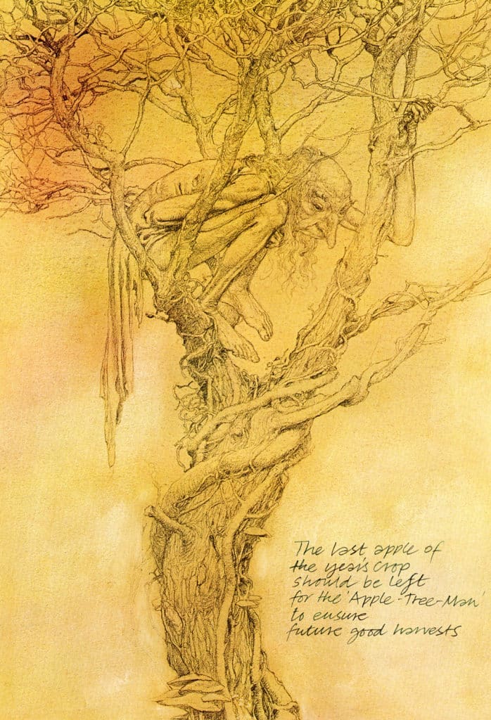 The Apple Tree Man