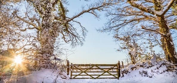 Herefordshire Winter Walks