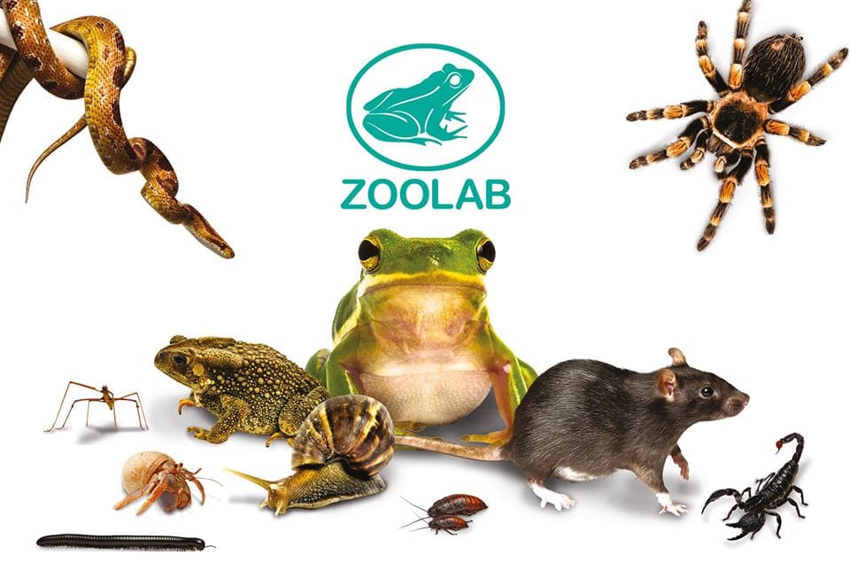 Animal Encounter at Wynnes of Dinmore