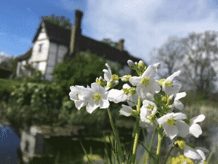 Brockhampton Cadburys ‘The Tale of Jeremy Fisher’ Trail
