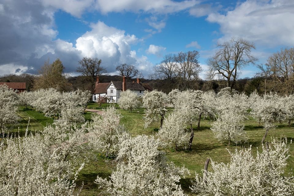 Brockhampton Spring Nature Trail