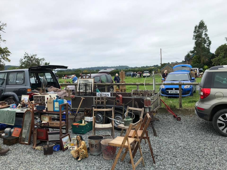 Aardvark car boot