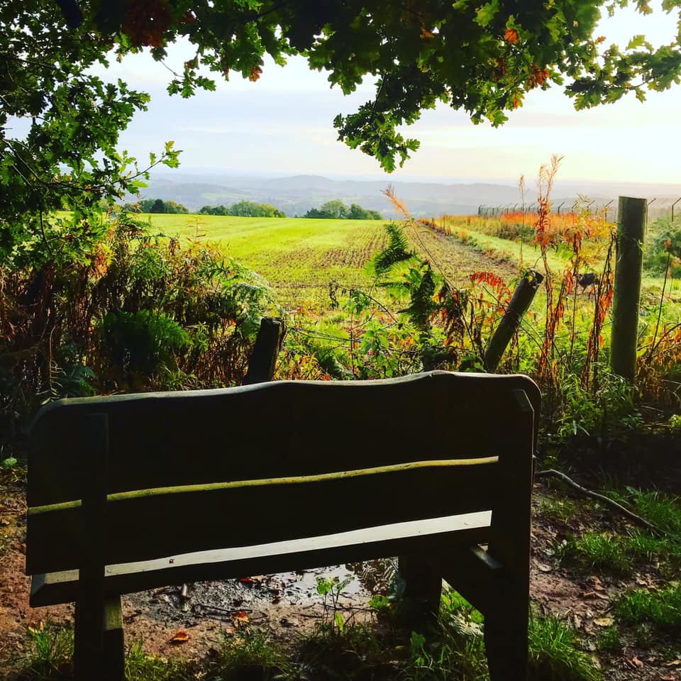 Bromyard Downs Autumn