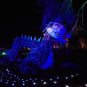 231124 TARREN WINTERGLOW 1376 (Medium)