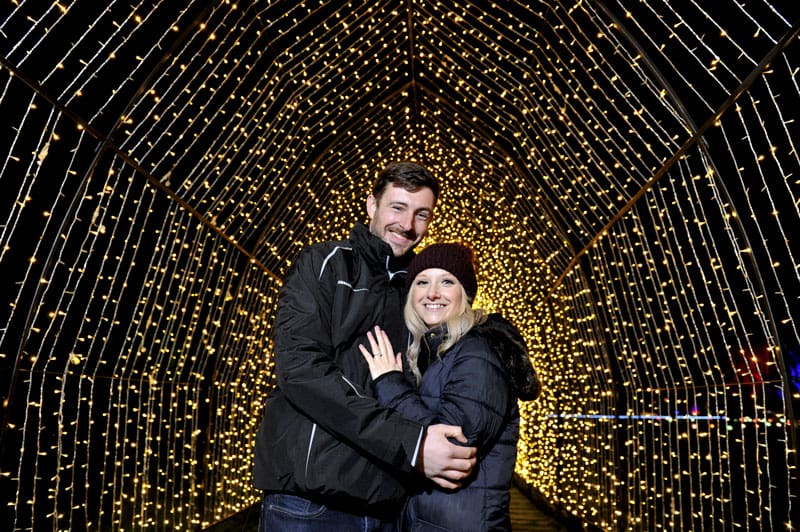 gallery winter glow 5