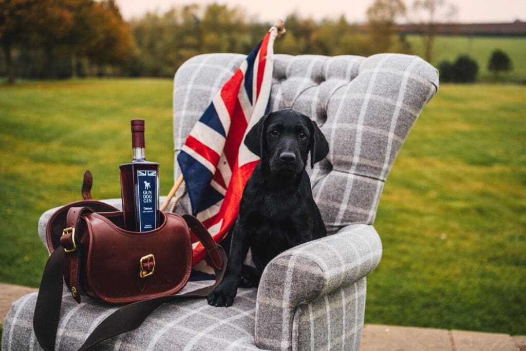 Gun Dog Gin