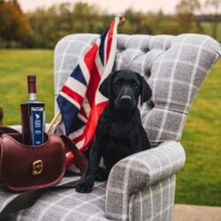 Gun Dog Gin