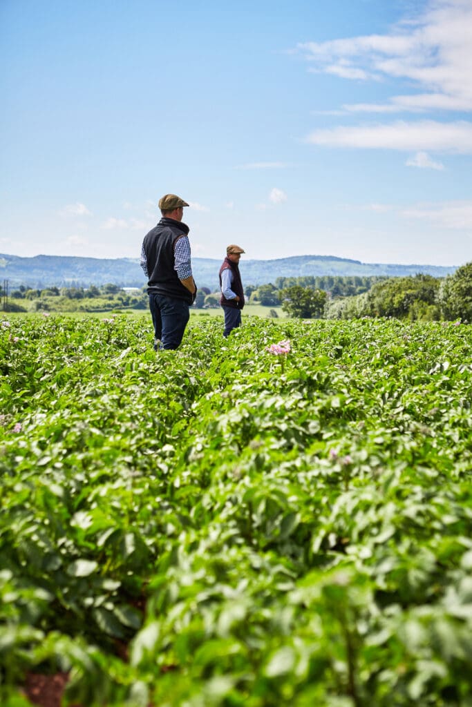 Two Farmers Crisps