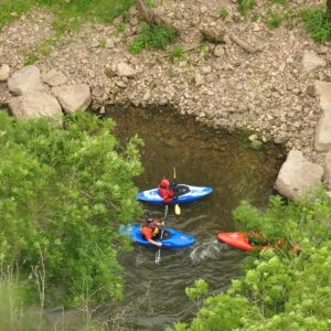 Kayaking at Symonds Yat (9765)