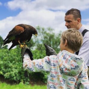 Wye Valley Falconry