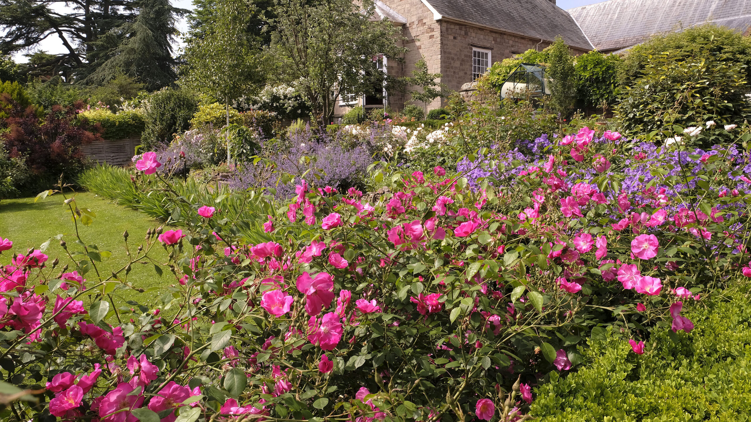 CATHEDRAL GARDENS