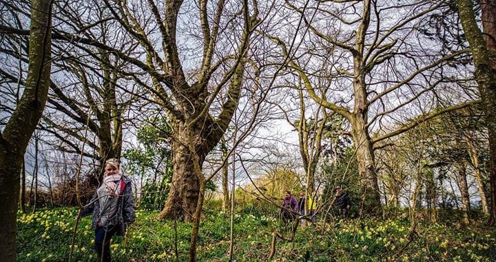 Hellens outdoor learning conference