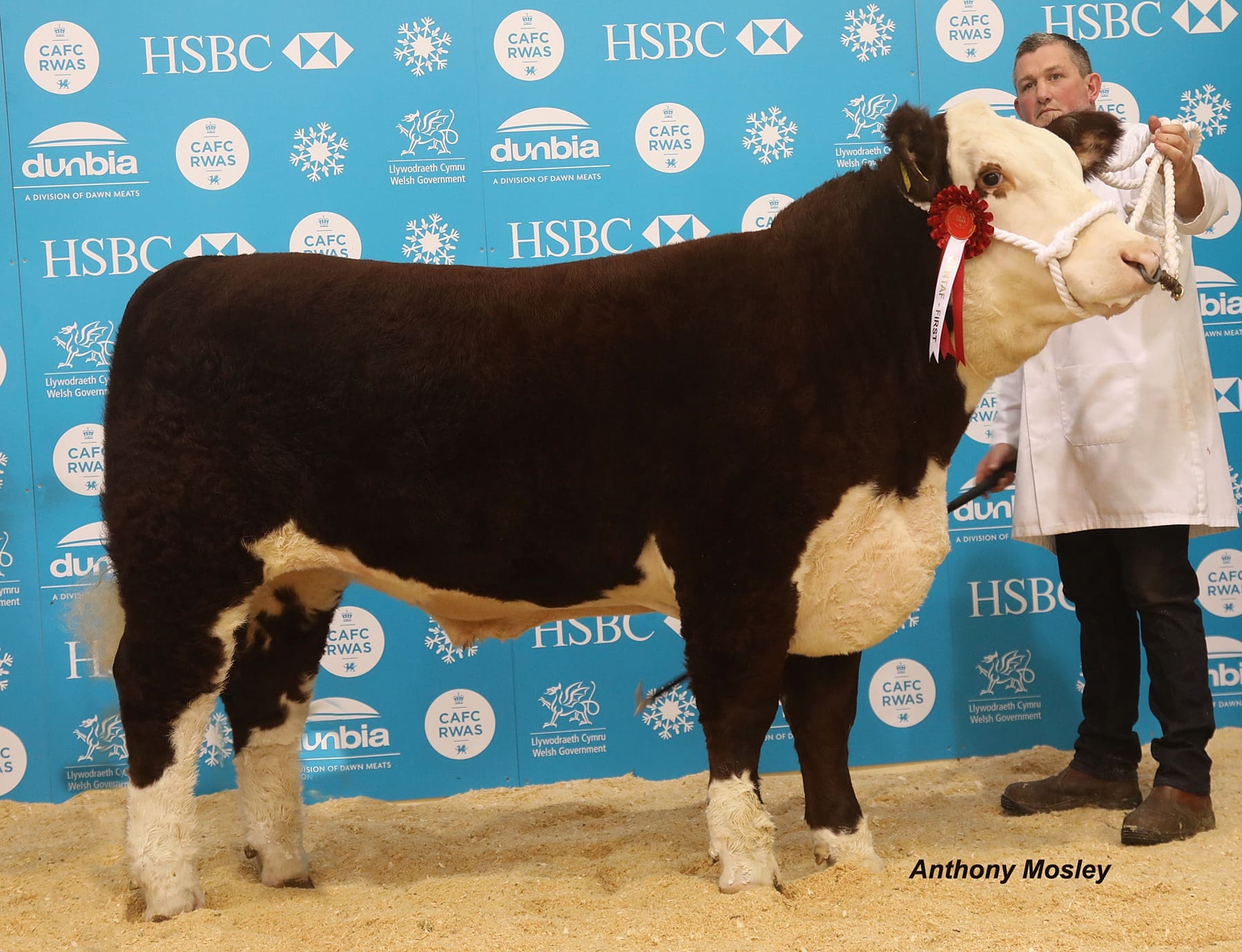 Hereford Cattle Society Winter Fair