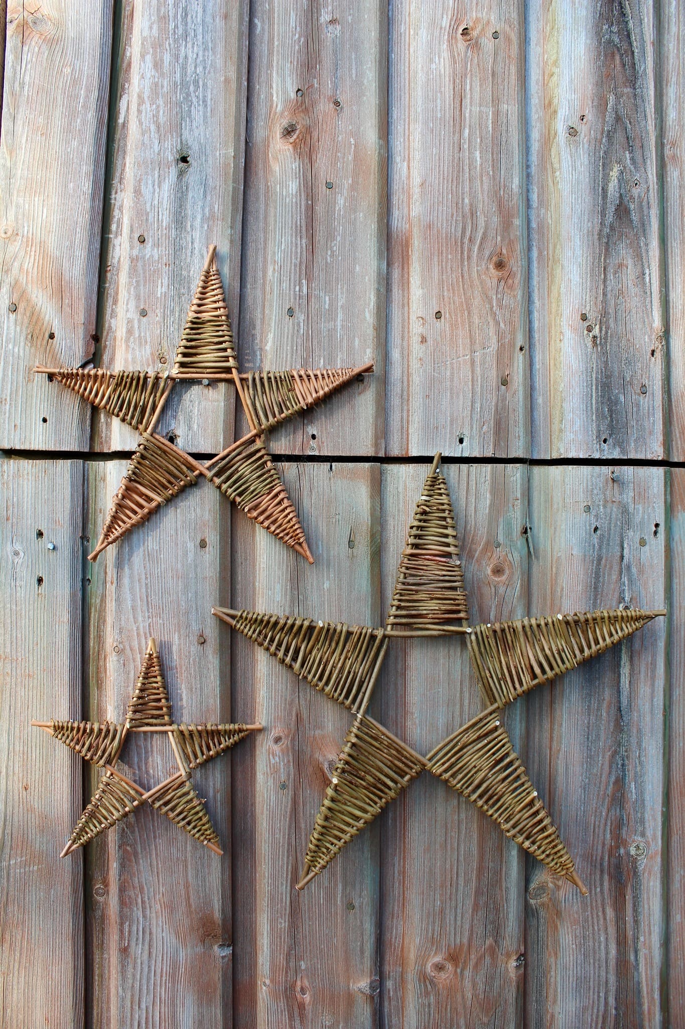Festive Willow Making