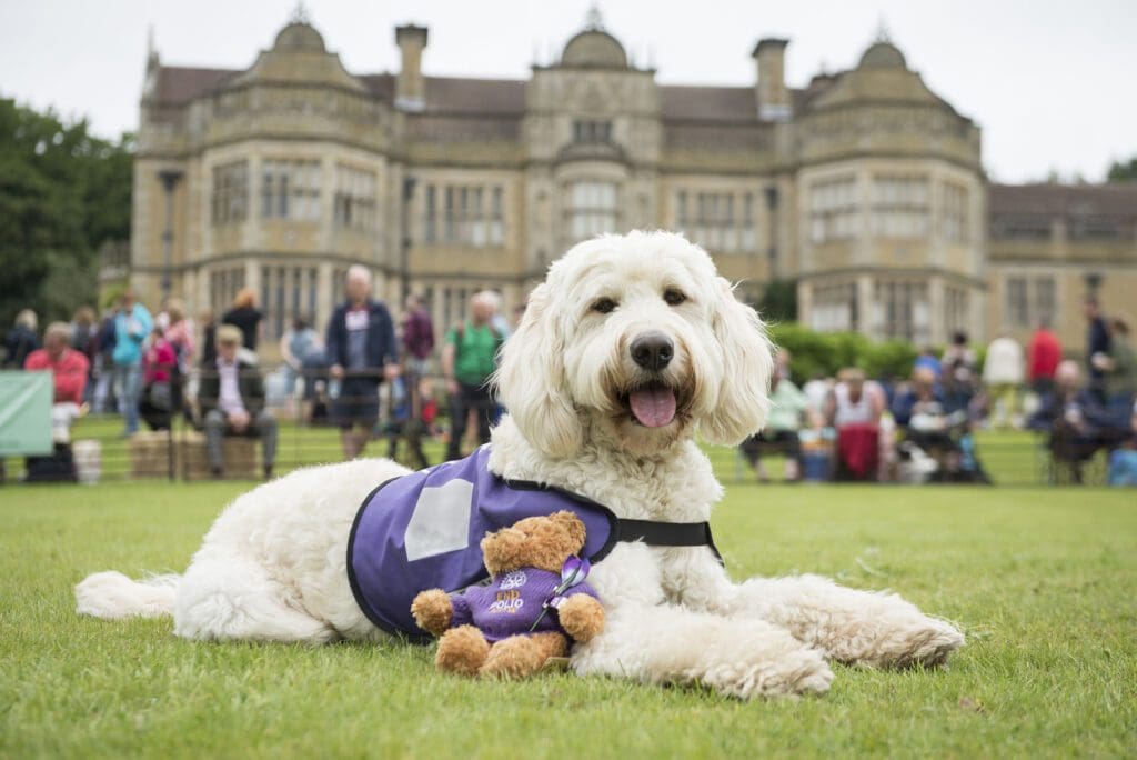 Ludlow Dog day 1024x684