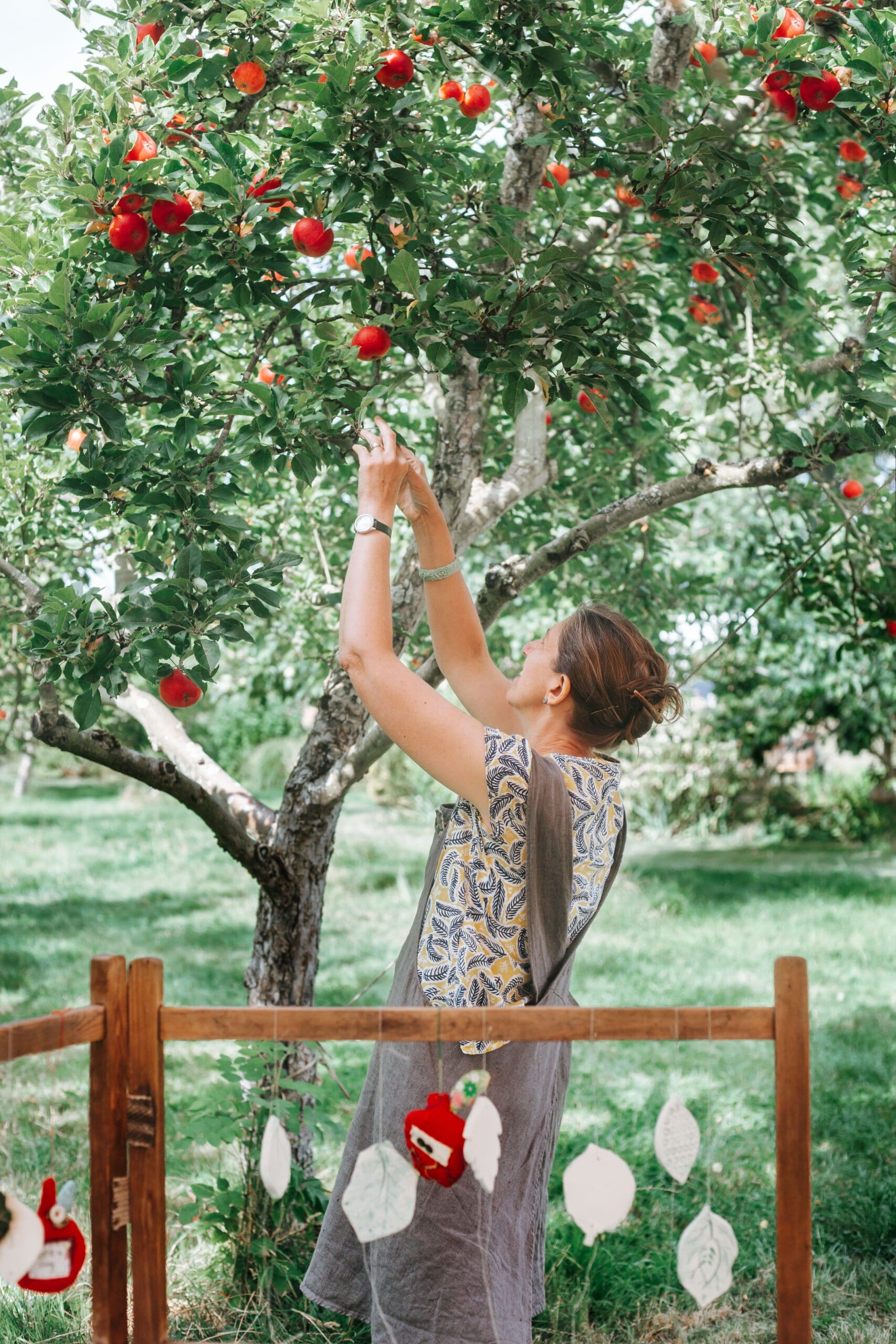 Hannah Day at Dragon Orchard