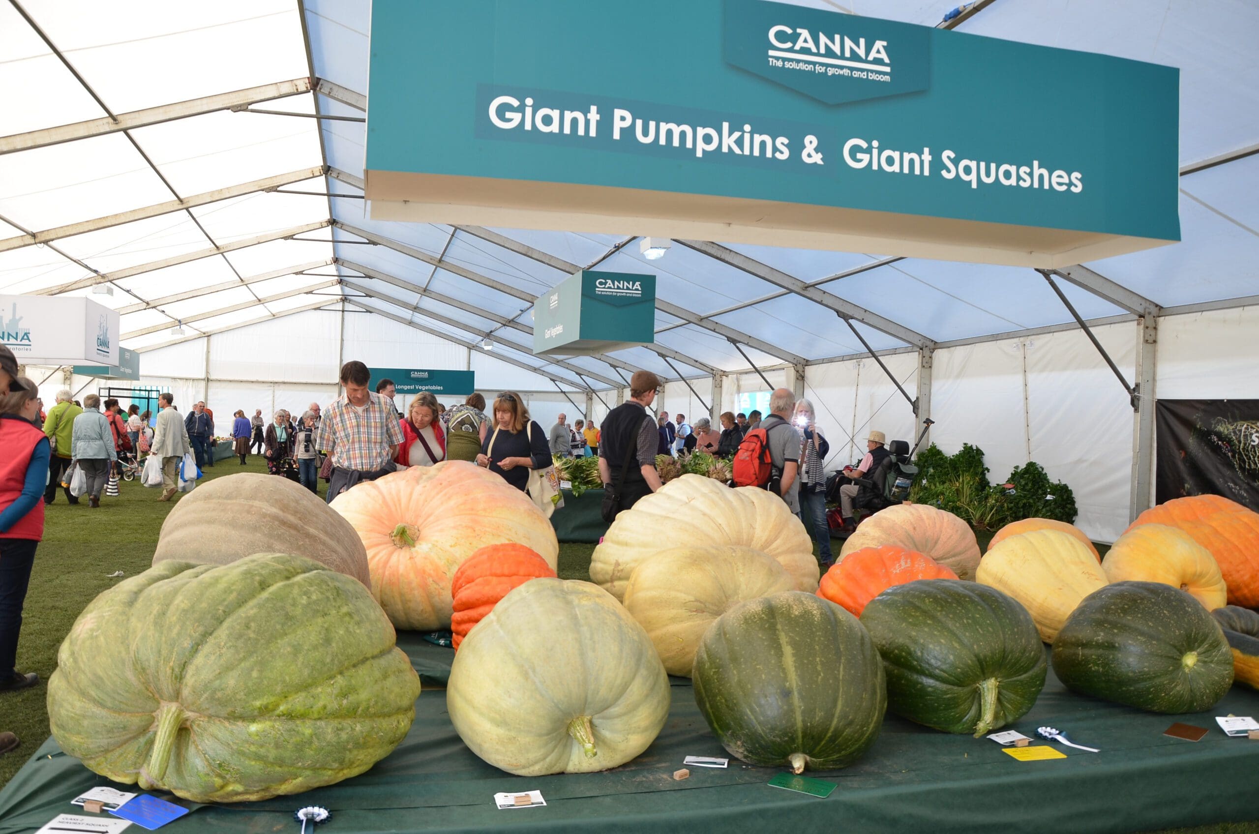 MAS giant veg[26215]