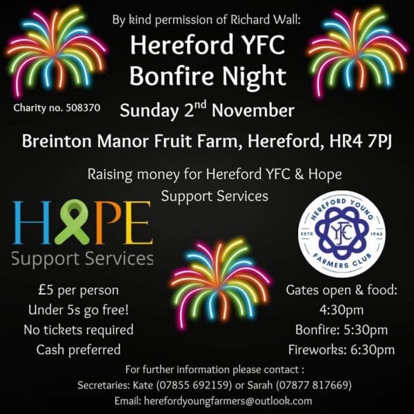HYFC fireworks